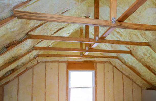 Best Cellulose Insulation  in Garden Plain, KS