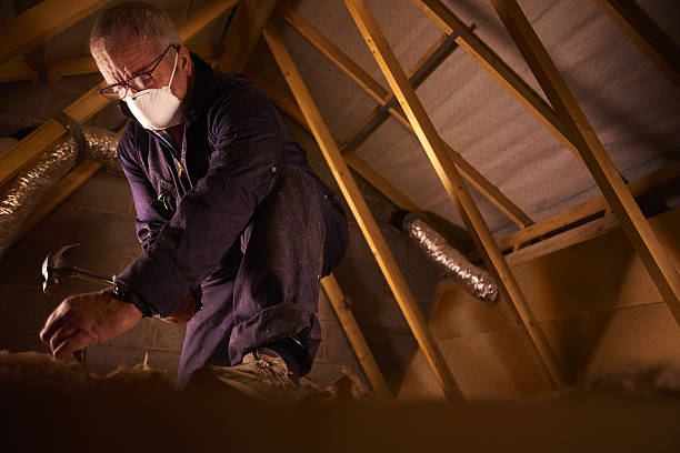 Best Affordable Insulation Services  in Garden Plain, KS